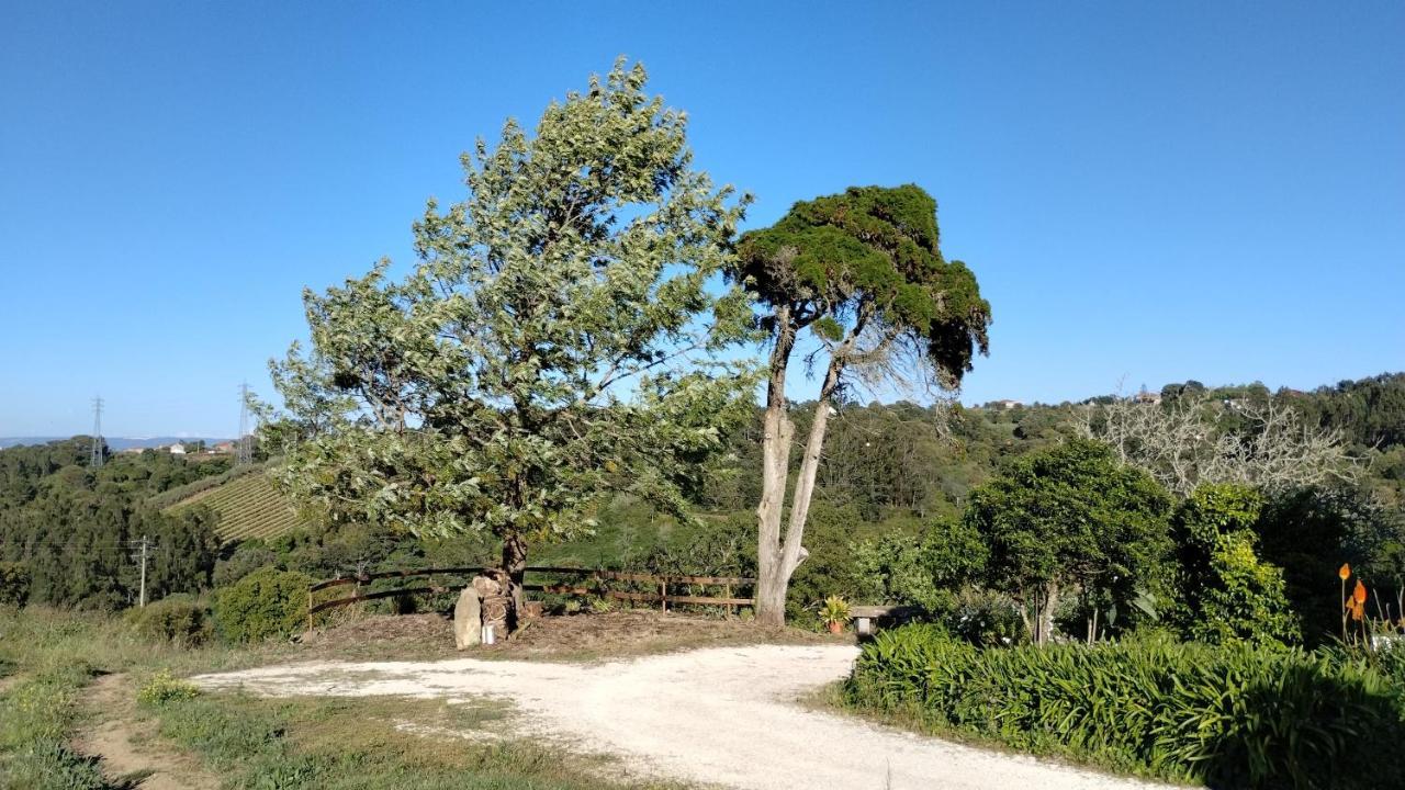 Quinta Do Oratorio Agroturismo โอบิดอส ภายนอก รูปภาพ